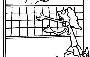 Majstrovstvá okresu vo volejbale žiakov  SŠ (PREVaPRIM)